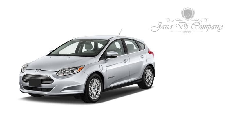 Rent A Car Obrenovac Jana Di Company Ford Fiesta 2015 hatchback